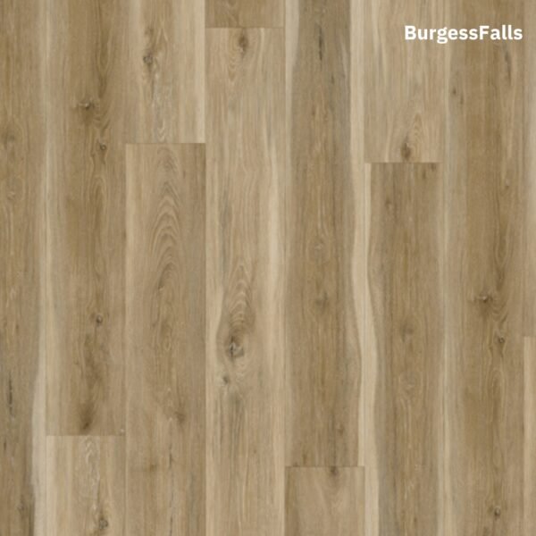 Ozz Plank - Image 5